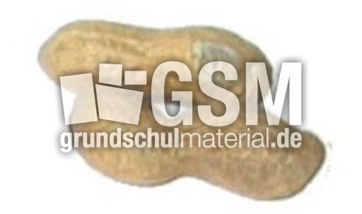 Erdnüsse-1x2.jpg